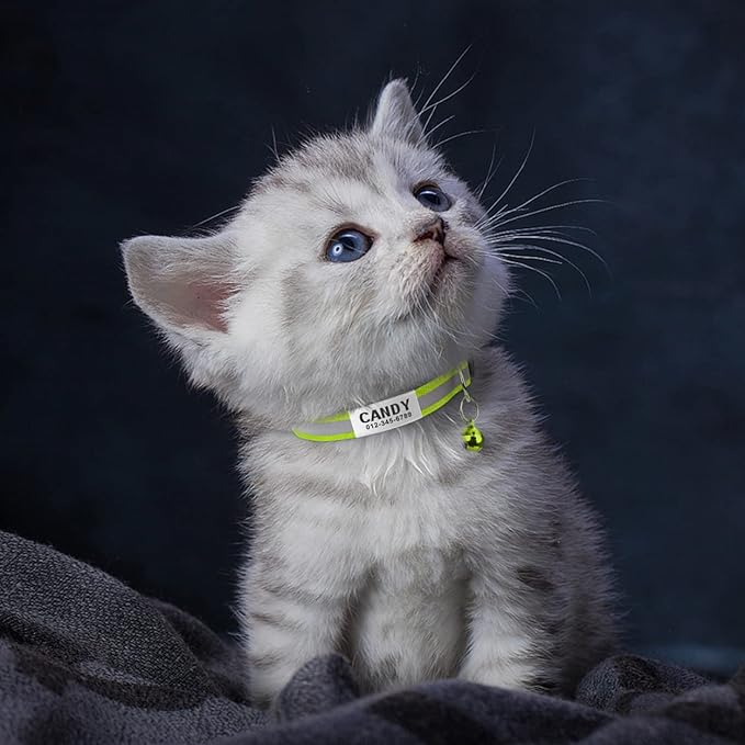 TagME 2 Pack Cat Collar with Name Tag, Personalized Reflective Cat Collar Breakaway with Bell for Boy & Girl Kitten, Green