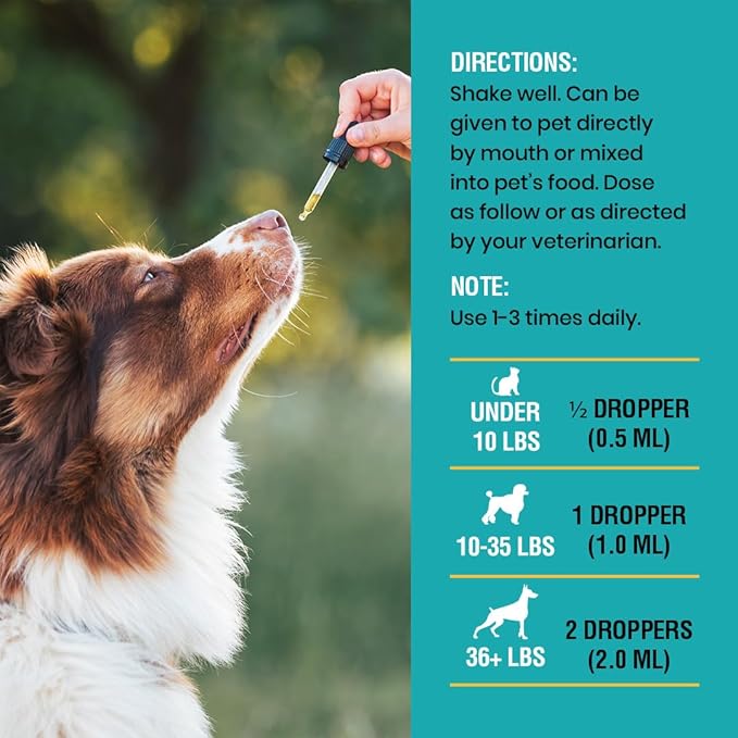 Special Breed Allergy & Immune with Elderberry, Allergy Relief for Cats and Dogs, Anti Itch Treatment, Relief for Pet Allergies, Immune Support for Cat or Dog, 8oz