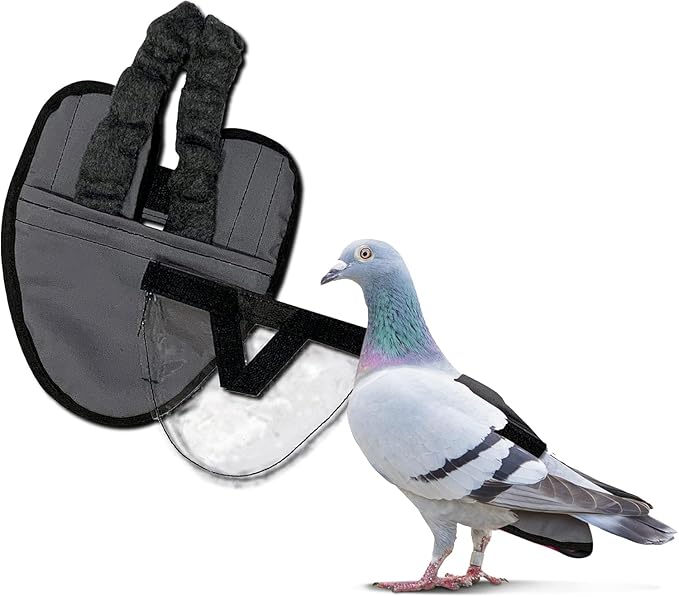 Hen Holster Starter Kit - Wrap-Around Duck Diaper w/Removable Liner & Fixed Tab - Durable, Secure Fit, Easy-to-Wear - Essential Duck Supplies for Real Ducks, Made in USA - Gray, XS