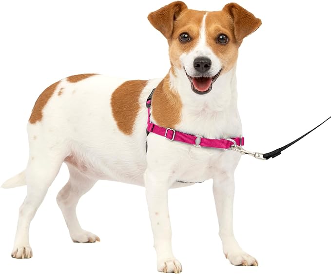 PetSafe Easy Walk No-Pull Dog Harness - The Ultimate Harness to Help Stop Pulling - Take Control & Teach Better Leash Manners - Helps Prevent Pets Pulling on Walks, Small, Raspberry/Gray