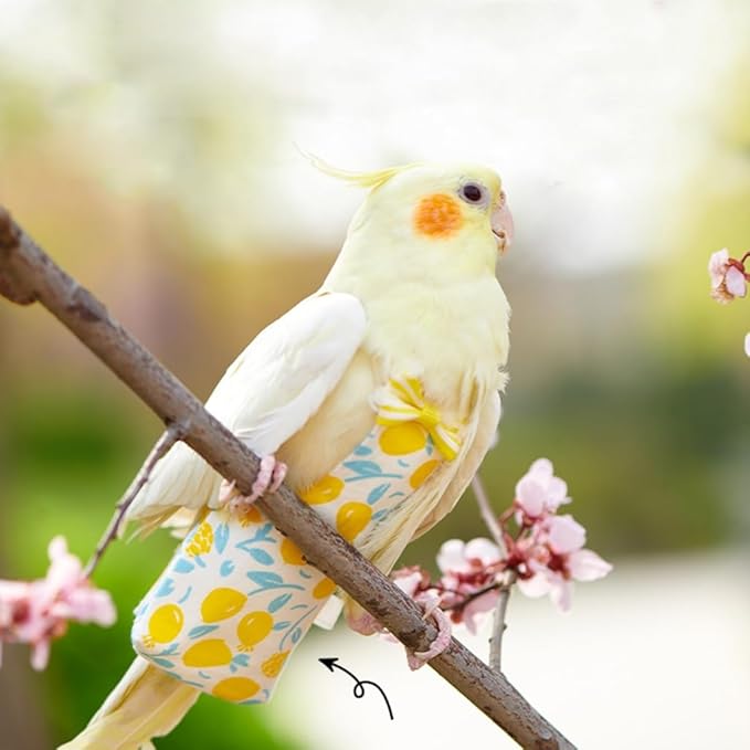 Ldabrye Bird Diaper Washable Parrot Diaper Fashion Flight Suit for Parakeets Parrot Costume Nappy Clothes for Budgies