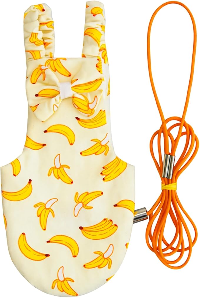 Bird Diaper and Leash Set with Harness, Washable Parrot Diapers with Leash, Pet Bird Flight Suit Set for Outdoor Flying & Training (L)
