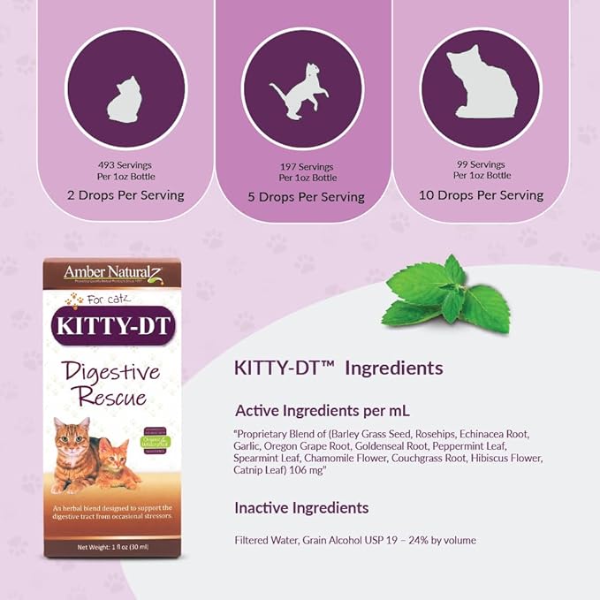 Amber NaturalZ Kitty-DT Digestive Rescue Herbal Supplement for Cats | Supports Normal Digestive Function and Occasional Gastric Upsets | Natural Aid for Gastrointestinal Health 1 Fluid Ounce