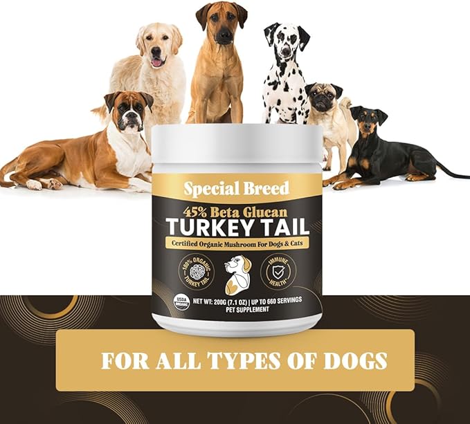 Organic Turkey Tail Mushroom for Dogs and Cats, 45% Beta Glucan Standardized, Hot Water Extracted Whole Fruiting Body, Third Party Tested, Immune and Gut Support, No Fillers, Made in USA, 660 ct