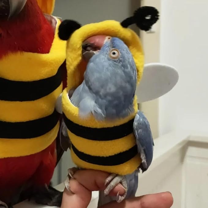 Bird Costume Bird Diaper Flight Suit Bird Bee Shape Bird Clothes Cosplay Photo Prop for Parrots Lovebird Budgie Parakeet Cockatiel (L)