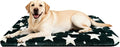 Dog Bed Mat – Soft & Comfortable Dog Kennel Pad for Crate – Durable Crate Bed & Mat for Dogs & Cats – Ideal for Crate, Kennel, and Home Use (Big&Little Stars Green, L(35"*23"*1.5"))