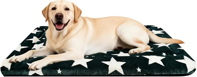 Dog Bed Mat – Soft & Comfortable Dog Kennel Pad for Crate – Durable Crate Bed & Mat for Dogs & Cats – Ideal for Crate, Kennel, and Home Use (Big&Little Stars Green, L(35"*23"*1.5"))