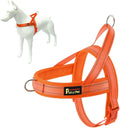 Plutus Pet No Pull Dog Harness with Breathable Mesh Padded, Adjustable Reflective Escape Proof Dog Harness, Quick Fit Dog Vest Harness for Small Medium Large Dogs(M, Orange)