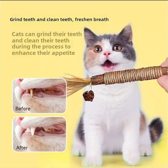 Vintage & Haven Pcs Natural Silvervine Sticks Cat Toys, Catmint Silvervine Blend Sticks, Kittens Chew Toys for Teeth Cleaning, Matatabi Dental Care Cat Treat, Consumable Kitty Lick Toys (6 Pcs)