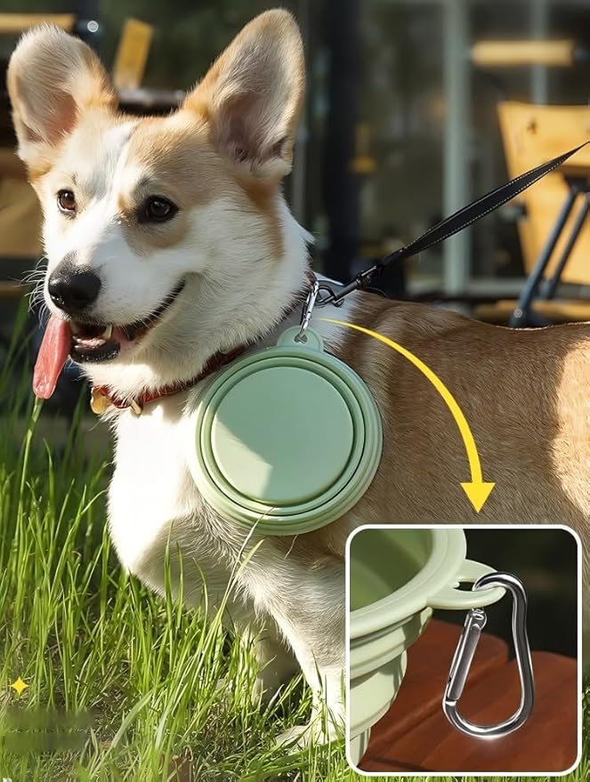 2-Pack, LeeRound Large Collapsible Dog Bowls, Food-Grade Silicone Collapsible Bowl, Travel Dog Bowls for Pet Cat Feeding Water and Food Camping&Hiking Meet Needs Different Scenarios Feeding Essentials