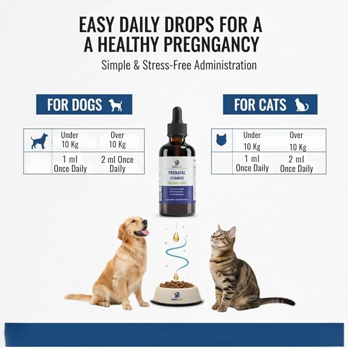 Liquid Prenatal Vitamins for Dogs & Cats - Folic Acid, Calcium & Iron Drops - Essential Support for Dog Pregnacy, Breeding & Lactation - Healthy Litter Growth - Beef Flavor, 60 ml