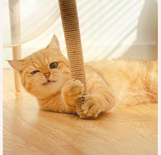 Sisal Rope for Cat Scratchers, Cat Tree,Cat Scratching Sisal Rope Natural Jute Hemp Rope, Ideal for Replace Scratching Post, Repair Cats Tree, DIY Projects 6mm(30m/98.4 Feet)