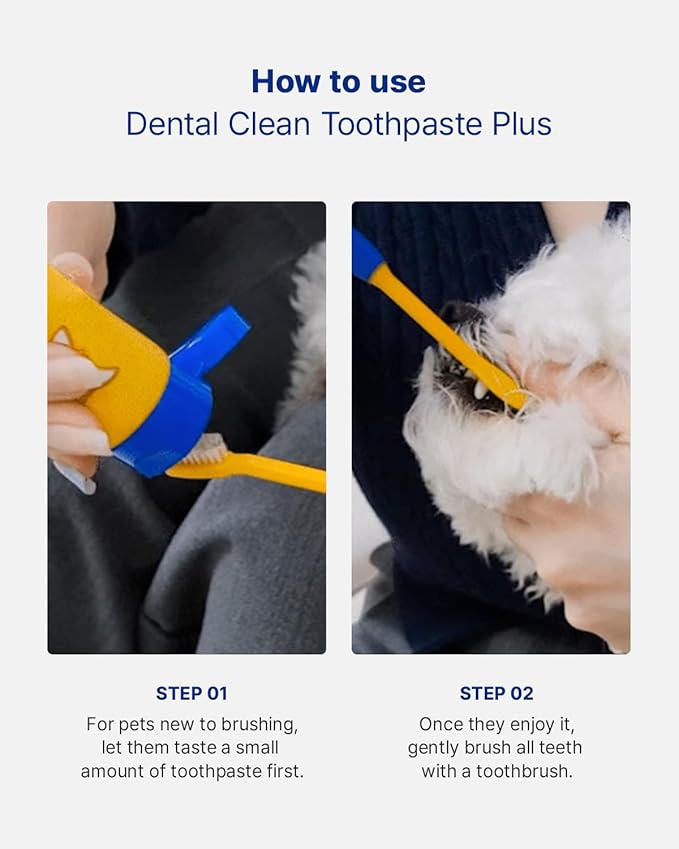 PETHROOM Pet Dental Clean Toothpaste for Dogs & Cats – Fresh Breath & Plaque Control, Gentle Formula – Mild Pet Friendly Flavor, Net Wt 2.1 oz