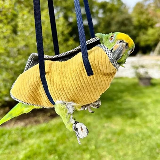 Bird Travel Carrier, Portable Bird Bag with Escape Resistant Outdoor Harness Vest for Small Medium Parrots, Cockatiel, Budgie, Ideal for Travel and Outdoor Adventures (XL) (11.5cm)