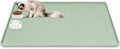 Lanstics Cat Food Mat, 42" x 29" Large Silicone Mat Cat Feeding Mat with Raised Edge Non-Slip Pet Feeding Mat for Food and Water Bowl, Easy to Clean, Floor Protection (Light Green)