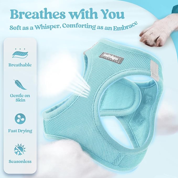 rabbitgoo Dog Harness Small Sized and Leash Set, Step in Soft Light Puppy Vest, Breathable Mesh Pet Harness, Reflective for Safe Easy Walking, Mint Blue S