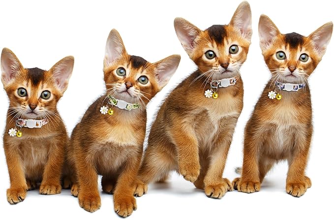 LAFAYI 4 Pack Cotton Breakaway Cat Collar with Bell & Flowers Pendant,Cute Pet Kitten Collar for Girl Boy Cats,Pet Supplies,Stuff,Accessories,Gifts