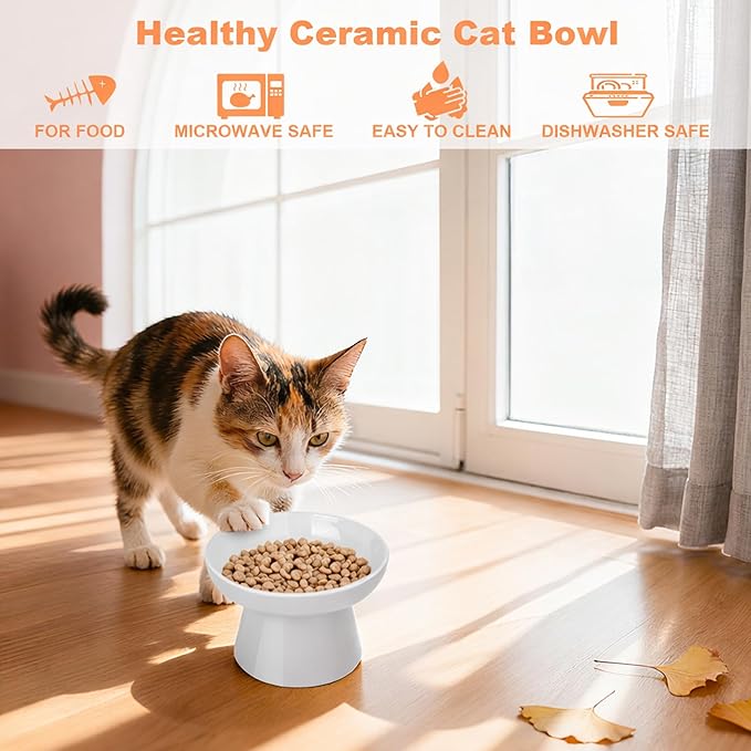 Ceramic Raised Cat Bowl, Elevated Cat Food Bowl with Non-Slip Base,Whisker Friendly Shallow Feeder for Dry & Wet Food, Dishwasher Safe, Anti Vomiting (Grey)