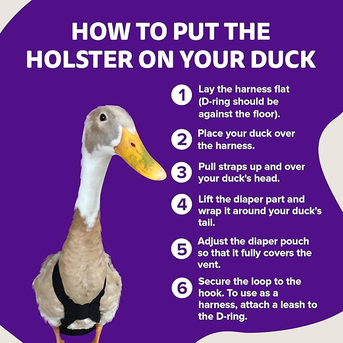 Hen Holster Starter Kit - Wrap-Around Runner Duck Diaper w/ Removable Liner & Fixed Tab - Durable, Secure Fit, Easy-to-Wear - Essential Duck Supplies for Real Ducks, Made in USA - Purple