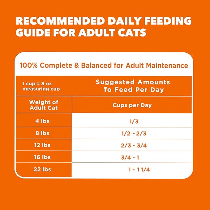 IAMS Proactive Health Adult Healthy Dry Cat Food with Chicken, 3.5 lb. Bag