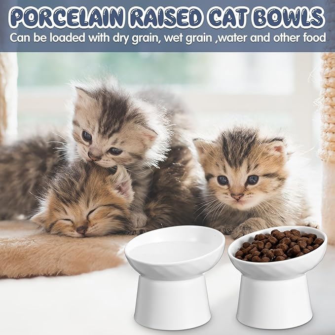 Tanlade 4 Pcs Ceramic Raised Cat Bowls, Elevated Tilted Cat Bowl for Food Water, Stress Free, Backflow Prevention, Dishwasher Microwave Safe, Feeder Dish for Indoor Kitten, Small Dogs(White)