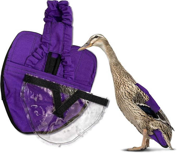 Hen Holster Starter Kit - Wrap-Around Runner Duck Diaper w/ Removable Liner & Fixed Tab - Durable, Secure Fit, Easy-to-Wear - Essential Duck Supplies for Real Ducks, Made in USA - Purple