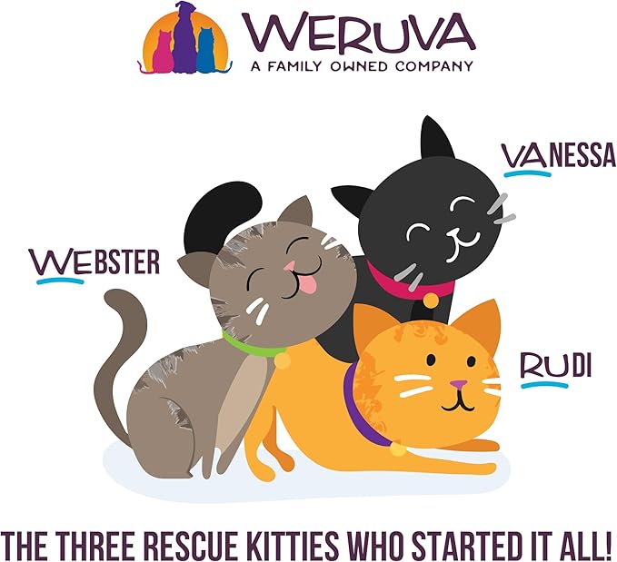 Weruva Cats in The Kitchen Kitten, Lambur-Kitty, 3oz Can (Pack of 12)