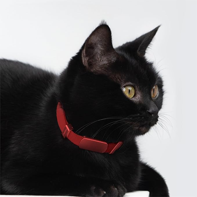 Engraved Pet ID Tag - Personalized Name Tag Engraved Cat Collar Charms, Aluminum Alloy Customized Cat Name Tag for Kitten Small Large Cats (Horizon-Red M)