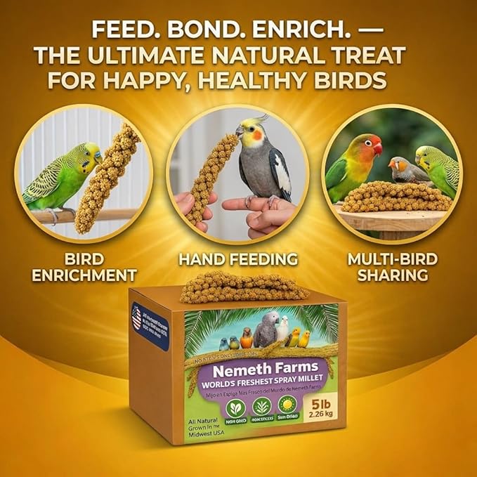USA Grown Spray Millet for Birds – Midwest Harvest, 1 lb Premium 100% Natural, Sun-Dried Non-GMO Whole Millet Sprays, Bird Treat for Parakeets, Budgies, Cockatiels, Conures, Lovebirds & Finches