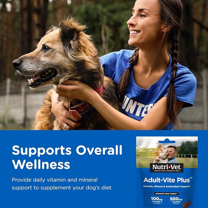 Nutri-Vet Adult-Vite Plus Dog Multivitamin Soft Chews, Daily Dog Supplement with Vitamins Minerals and Antioxidants, Supports Skin, Immune, Joint, and Gut Health, Tasty Chicken Flavor, 70 Count