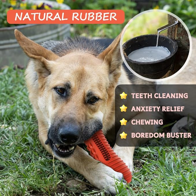 Dog Toys for Aggressive Chewers Large Medium Breed, Indestructible Dog Chew Toys, Squeaky Interactive Tough Extremely Durable, Dogs Toothbrush Toys to Keep Them Busy