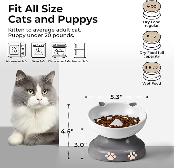 Y YHY Slow Feeder Cat Bowl, Ceramic Elevated Cat Bowl Tilted Design Slow Feeder for Dog and Cat for Dry and Wet Food, Gray