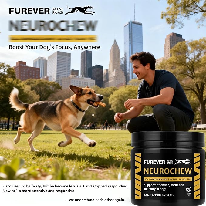 Furever Active Pet Neuro Chewing, Formulated with Organic. Support Brain Health in Dogs, Memory and Alertness, Overall Cognitive Performance, Brain Cell Repair, 60 Chews(1pc)