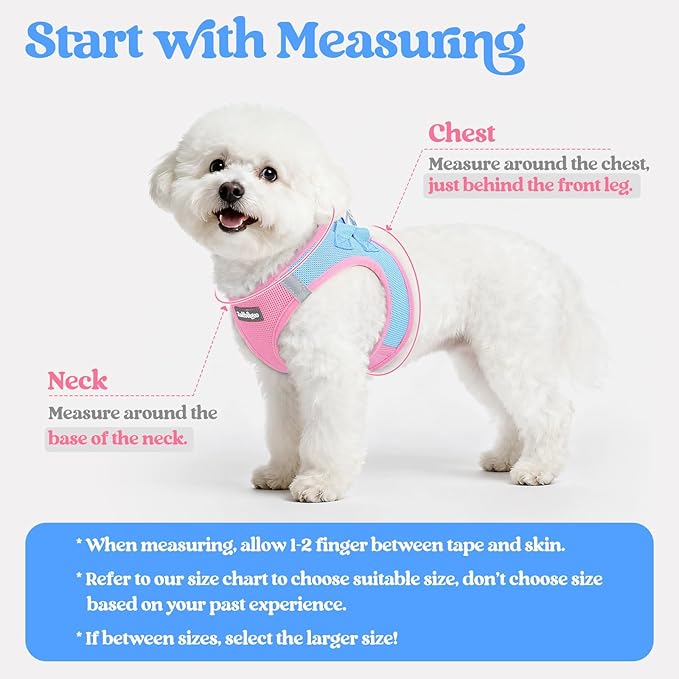rabbitgoo Dog Harness Small Sized and Leash Set, Step in Soft Light Puppy Vest, Breathable Mesh Pet Harness, Reflective for Safe Easy Walking, Blue & Light Pink XXXS