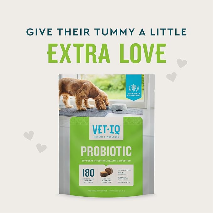 VetIQ Probiotic Supplement for Dogs, Digestive Support for Dogs, Nourishes Gut Bacteria and Supports Bowel Function, Hickory Smoke Flavor, Made in The USA, 60 Count