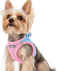 rabbitgoo Small Dog Harness, Step-in Soft Mesh Puppy Vest with Safety Buckle, Breathable Reflective Pet Harness for Small Sized Dogs, Blue & Light Pink XS