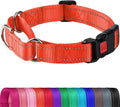 Joytale Martingale Collar for Dogs, Reflective Heavy Duty for Safety, Quick Release Buckle, Adjustable Nylon Collars for Puppy and XSmall Dogs Walking Training, Orange,XS