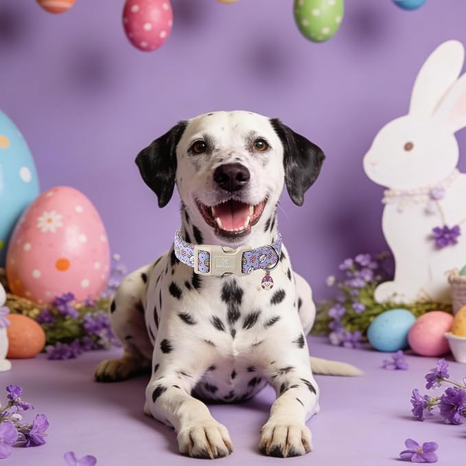 Maca Bates Easter Day Purple Egg and Bunny Dog Baisc Collar for Extra Small Boy Girl Dogs,Cute Eggs Soft Durable Adjustable Easters Rabbit Puppy Collors Gift for Male Female Pet