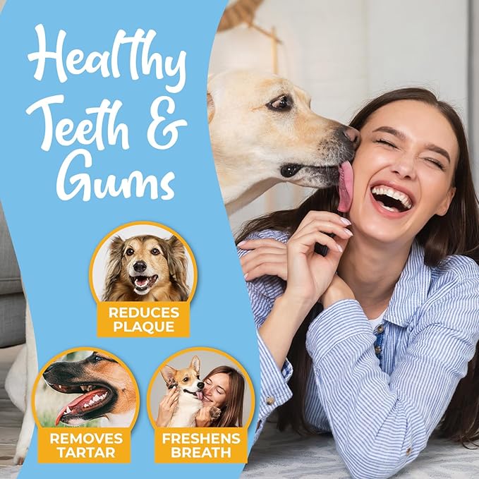 Dog Teeth Cleaning Finger Wipes - Easy Cats & Dogs Dental Care Toothbrush and Tooth Brushing Kit, Freshen Bad Breath, Reduces Plaque - 50 Count