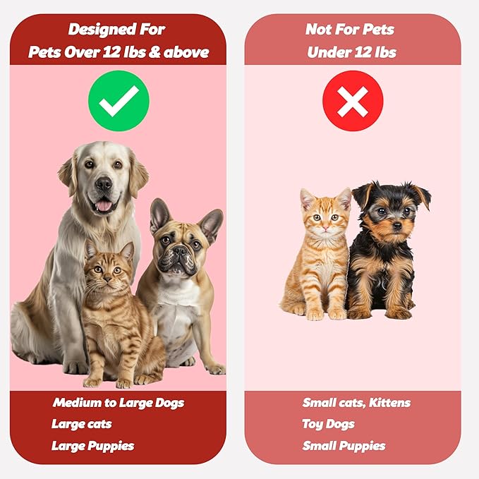 Pets & Pupps Dog Toothbrush for All Dogs, Soft-Bristled Tooth Brushing Kit, Easy Teeth Cleaning & Dental Care, Premium Non-Slip Handle Dual Head, Pet Toothpaste Not Included Pack of 2 Green & Pink