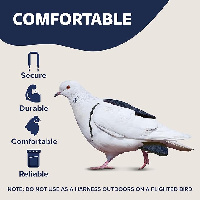 Hen Holster Premium Starter Kit - Bird Diaper, Wrap Around for Larger Pigeons, Small Breed Hens & Roosters - Leak-Proof, Comfortable Bird Harness with Sewn-in Liner & Hook & Loop Closure - XS, Denim