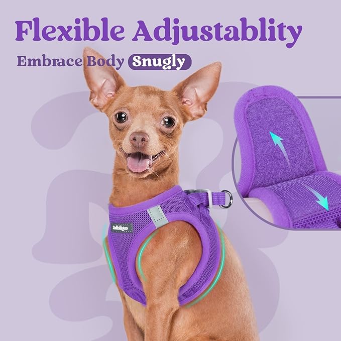 rabbitgoo Small Dog Harness, Step-in Soft Mesh Puppy Vest with Safety Buckle, Breathable Reflective Pet Harness for Extra Small Dogs, Purple XXXS
