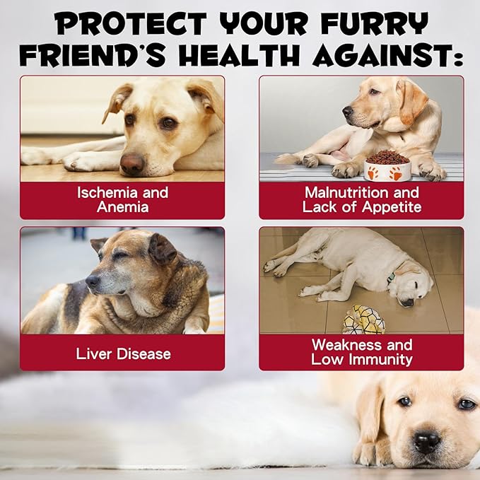Iron Supplements for Dogs, Liquid Iron for Dogs with Folate and B12 Supports Anemia, Supplement for Anemia, Promotes Blood Health 2 oz