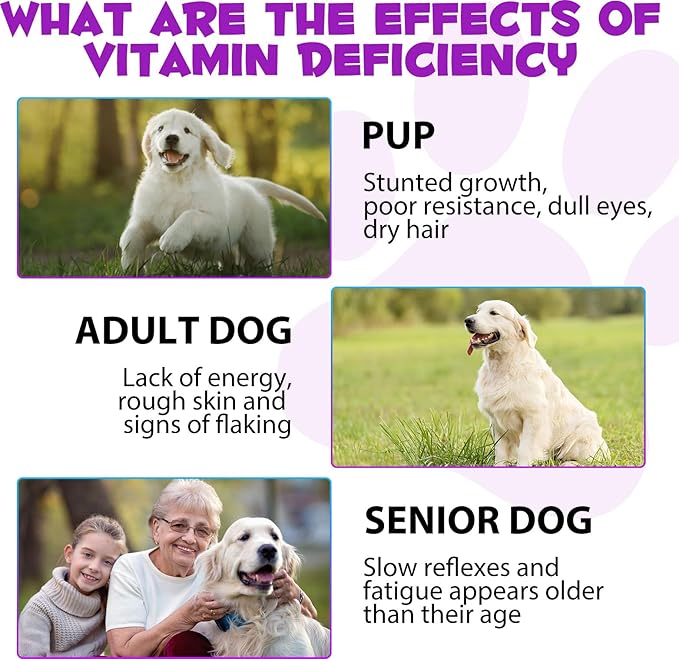 15-in-1 Dog Multivitamin Drops for Dogs | Liquid Multivitamin with Glucosamine, MSM & Omega for Joint, Heart, Immune & Skin Health | Easy Liquid Drops for Picky Eaters