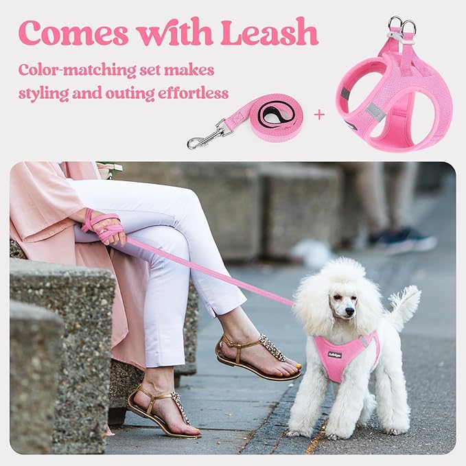 rabbitgoo Dog Harness Small Medium Sized and Leash Set, Step in Soft Light Puppy Vest, Breathable Mesh Pet Harness, Reflective for Safe Easy Walking, Light Pink L