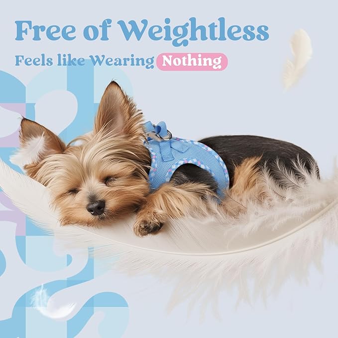 rabbitgoo Small Dog Harness, Step-in Soft Mesh Puppy Vest with Safety Buckle, Breathable Reflective Pet Harness for Extra Small Dogs, Blue & Plaid Trim XXS