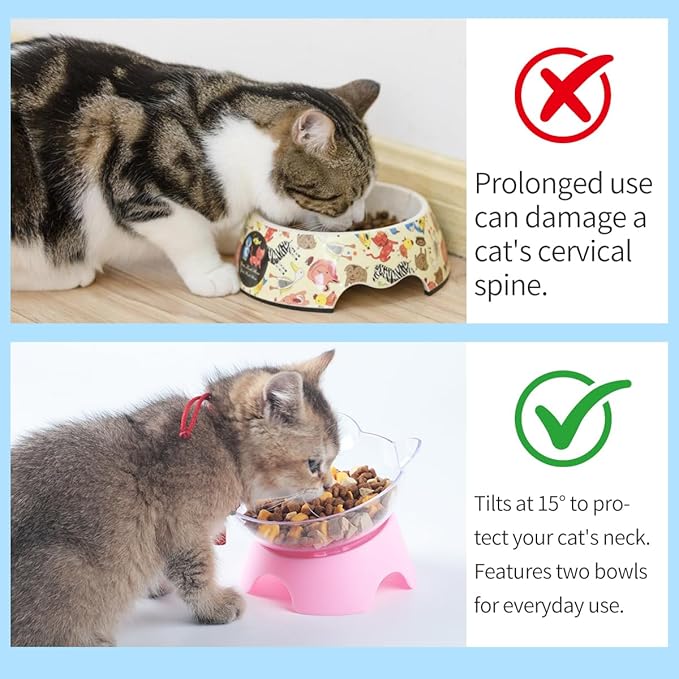 MILIFUN Raised Cat Food Bowls with Stand, Cat Dishes for Food or Water, Tilted Bowl, Pet Dish with Stand