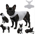 DAJIDALI® Dog & Cat Anxiety Vest & Spay Recovery Suit – Silent Calming Wrap for Surgery, Thunderstorms – Breathable Cone Alternative