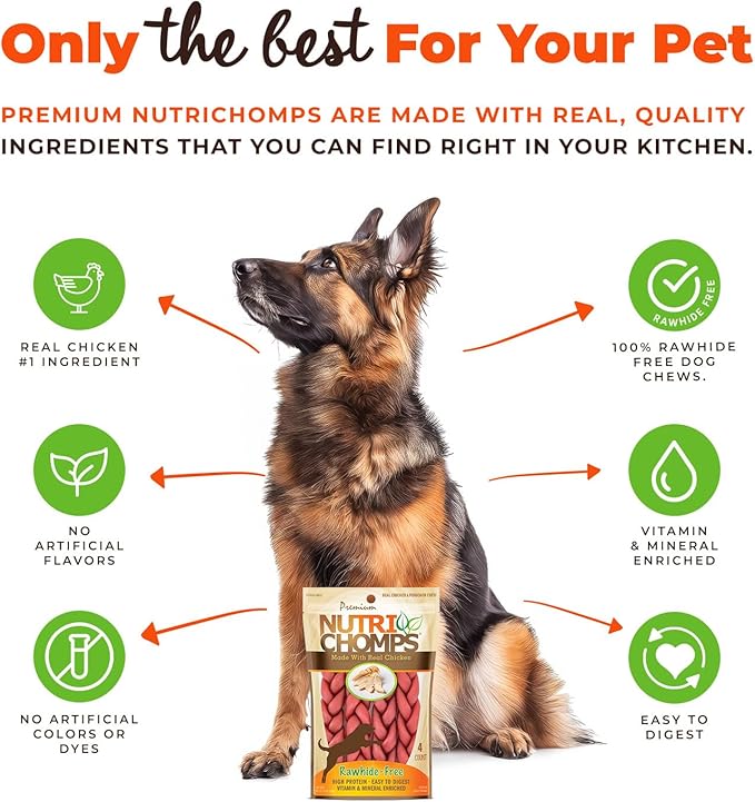 NutriChomps Dog Chews, 6-inch Braids, Easy to Digest, Rawhide-Free Dog Treats, Healthy, 4 Count, Real Chicken flavor