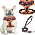 PUPTECK Soft Mesh Dog Harness and Leash Set Pet Puppy Cat Comfort Padded Vest No Pull Harnesses, Halloween Orange, M